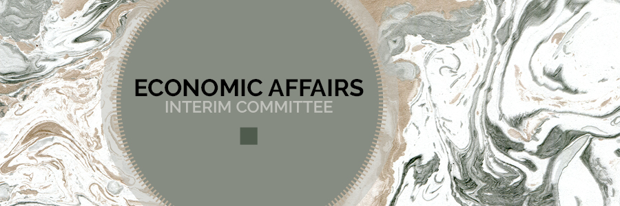 decorative image for Economic Affairs Interim Committee